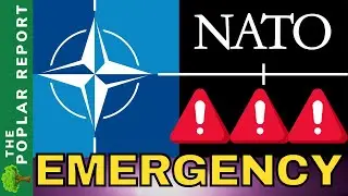 🚨🚨Оборона НАТО не справляется с давлением России &mdash; новости Watchmen