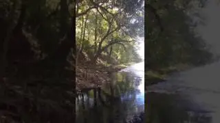 Suwannee River Little Shoals on SUP