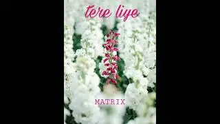 TERE LIYE OFFICAL VIDEO SONG --- (MATRIX)