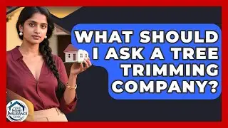 What Should I Ask A Tree Trimming Company? - Your Home Insurance Guide