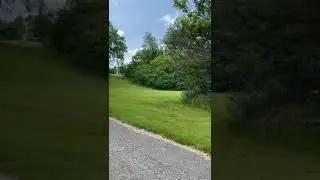 Beautiful walking path #toronto #greenery #grass #nature #walkthrough #healthylifestyle  #beautiful