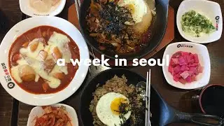 SEOUL VLOG: Caf&eacute;s, Busking, DMZ + more | Asia 2019