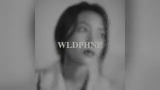 WLDPHNE - Blurry Memories [Official Audio]