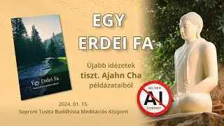 Egy Erdei Fa – Ajahn Cha újabb buddhista példázatai #buddha #buddhism #meditation #theravada