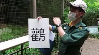 【ズーラシア公式】コウノトリのとっておきタイム
