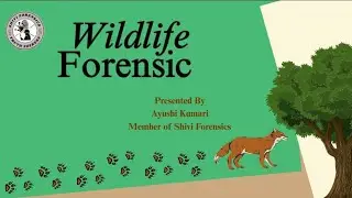 Wildlife Forensic | Protecting the Wild #forensicscience