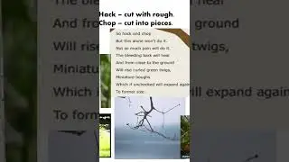 On Killing A Tree
