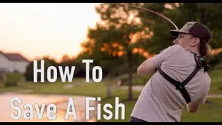 Summer Vlog #1 How To Unhook a Gut Hooked Fish.