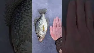 Ice Fishing in New Jersey for Crappie! December 2022. Target Species Found! Fun Action! Part Two!