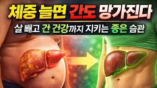 술도 잘 안먹는데 간이 안좋다구요? 과연 왜? (루씨의 이야기보따리)