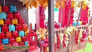 Cafe I Am Cake - Quán cafe trang trí tết 2026 #xuan2026 