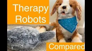 Comparison of Petit Qoobo & Joy for All Freckled Pup Robotic Therapy Pets