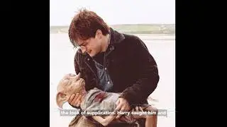 Dobby dies at shell cottage in Harry Potter and The Deathly Hallows book!
