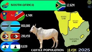 TOP COUNTRIES  BY CATTLE POPULATION (SOUTHERN AFRICA)