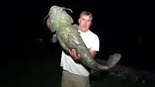 Shallow Water Flatheads