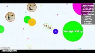 Agar.io Gameplay