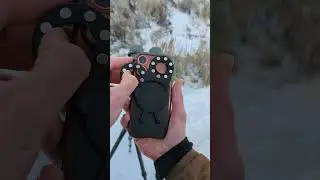 Вот где телеобъектив действительно проявляет себя во всей красе.