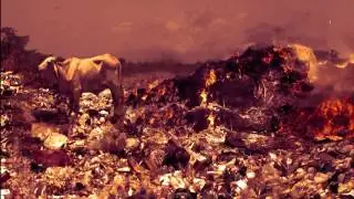 Amazing Eco Friendly ad by AOC