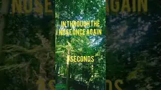 #asmr #forest & #cute Duckling sounds | 1-min #Meditation