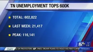 More than 20,000 Tennesseans apply for unemployment, total claims pass 600k