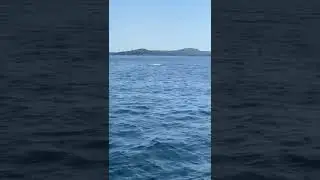 Rent a boat Murter - MyBoat