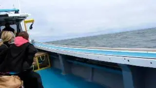 Deep Sea Fishing PEI