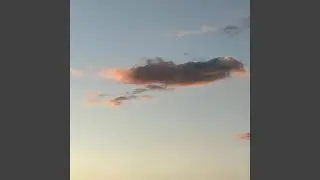 Sorrow In Your Reply