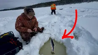 Opening Day Ice Fishing For Brook Trout ! ( Newfoundland ) 
