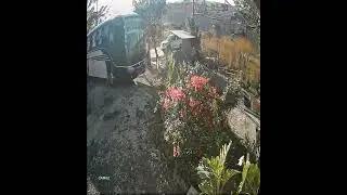 Tapisado de bus