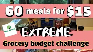 60 MEALS FOR $15 // EMERGENCY EXTREME BUDGET GROCERY HAUL 2020
