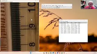 Tree core measurements