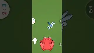 frogg and fly game