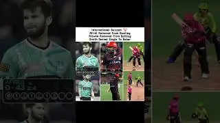 Pakistan Players Disrespected In BBL 🙂 || Cricket Videos | #cricket #viratkohli #rohitsharma #shorts