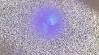 Magic Carpet Cleaning | Best Affordable Carpet Cleaning in Boise & Beyond