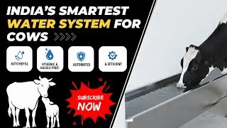 India&rsquo;s Smartest Water System for Cows &ndash; Auto Refill, Hygienic & Hassle-Free!