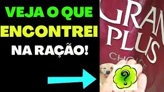 VEJA O QUE ENCONTREI NA GRAN PLUS CHOICE! ➡️  Ra&ccedil;&atilde;o Premium Especial
