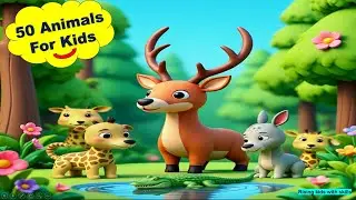 50 Animals Name for Kids | Learn Animals with Fun Pictures 🐒🦁🐘