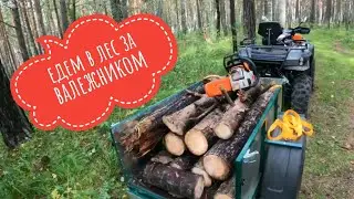 Едем в лес за валежником 
