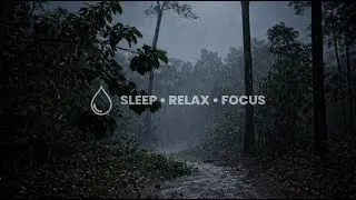 Peaceful Night Rain Soundscape | Soft ASMR for Restful Sleep