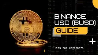 Binance USD (BUSD) Guide (2023) - [Quick Explainer]
