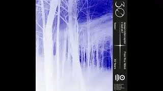 DeFeKT x Jensen Interceptor  - Broken City(Tresor)