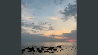 Missa brevis in D Major, Op. 1: II. Sanctus
