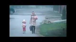 Head Flip | Pet Lovers | Follus