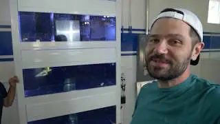 Vlog 11: Setting Up The FISH System from Mode Aquariums