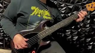 Music Man Darkray Fingerstyle Funk Vibes