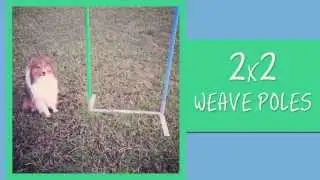 2x2 Weave poles with Raichu | March 2014
