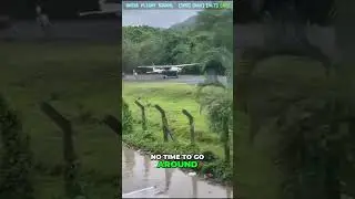 Plane vs. Horses The 1-Inch Miss 🐴