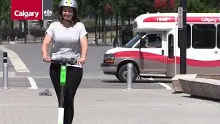 Shared electric scooters given the green light