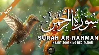 Surat ul Rahman full /beautiful Quran recitation/no music 