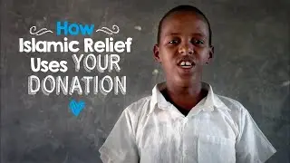 How Your Money is Spent at Islamic Relief - Islamic Relief USA